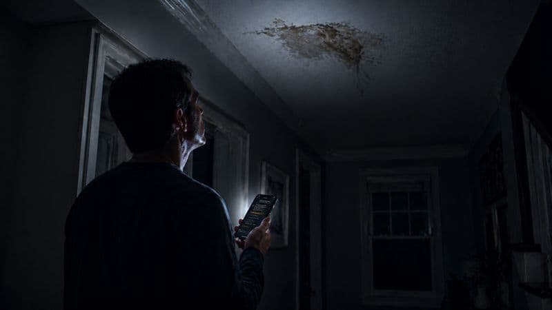 A homeowner discovering a problem and searching for help on their phone